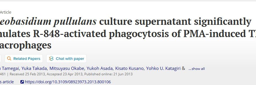 หน้าบทความวิจัยเกี่ยวกับสารเหนือชั้นเพาะเลี้ยง Aureobasidium pullulans และแมคโครฟาจ THP-1