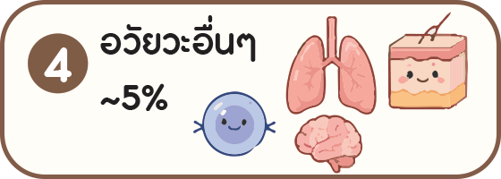 แผนภาพอวัยวะอื่นประมาณ 5 เปอร์เซ็นต์