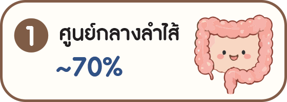 แผนภาพศูนย์กลางลำไส้ประมาณ 70 เปอร์เซ็นต์