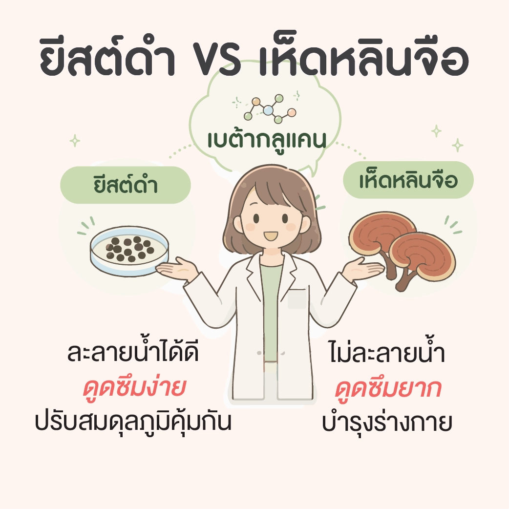 อินโฟกราฟิกเปรียบเทียบเบต้ากลูแคนจากยีสต์ดำและเห็ดหลินจือ