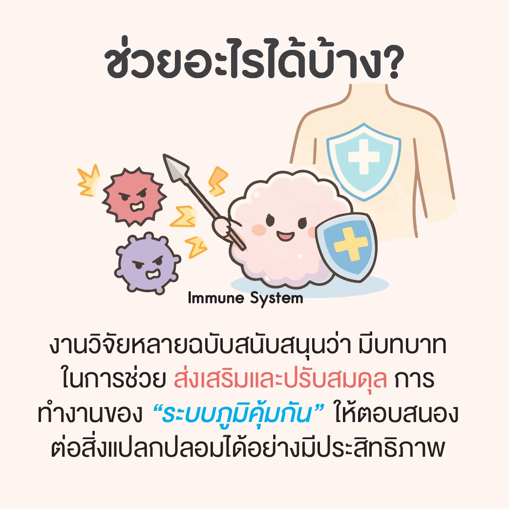 อินโฟกราฟิกคำถามเกี่ยวกับบทบาทของมะโฮต่อระบบภูมิคุ้มกัน