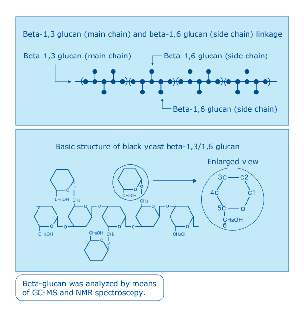 แผนภาพโครงสร้างเบต้า-1,3/1,6-กลูแคนจากยีสต์ดำ