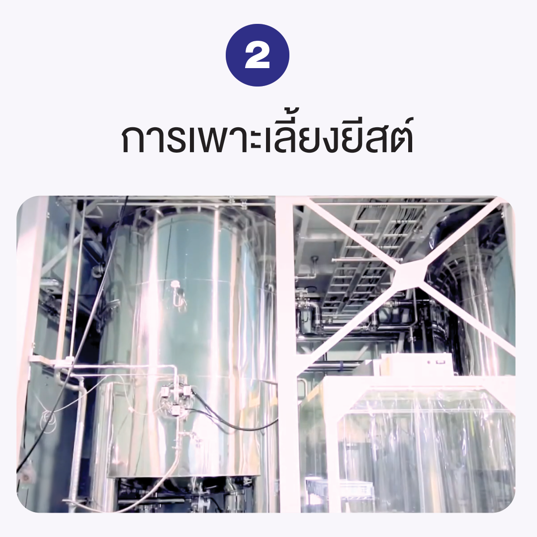 ถังเพาะเลี้ยงยีสต์ในโรงงานออเรโอ