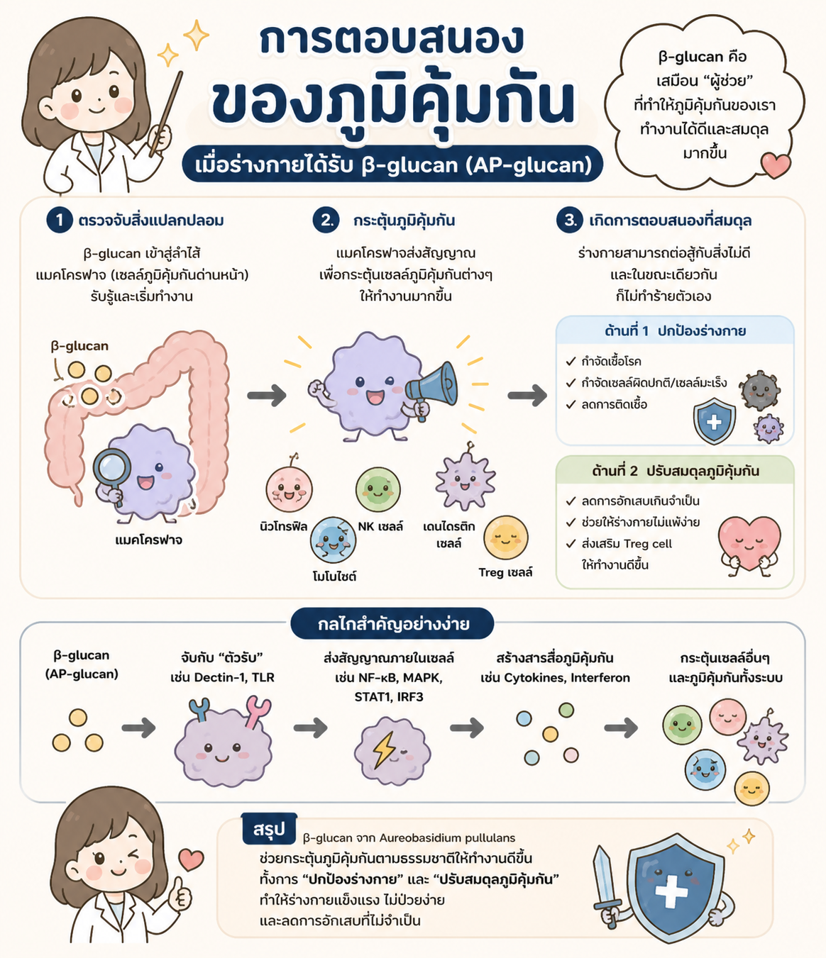 อินโฟกราฟิกการตอบสนองของภูมิคุ้มกันต่อเบต้ากลูแคน
